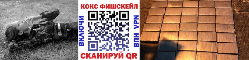 Кокаин FishScale  darknet состав  Высоцк 