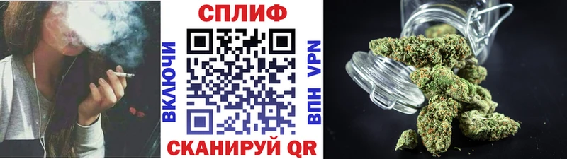 blacksprut ТОР Высоцк Шишки марихуана OG Kush